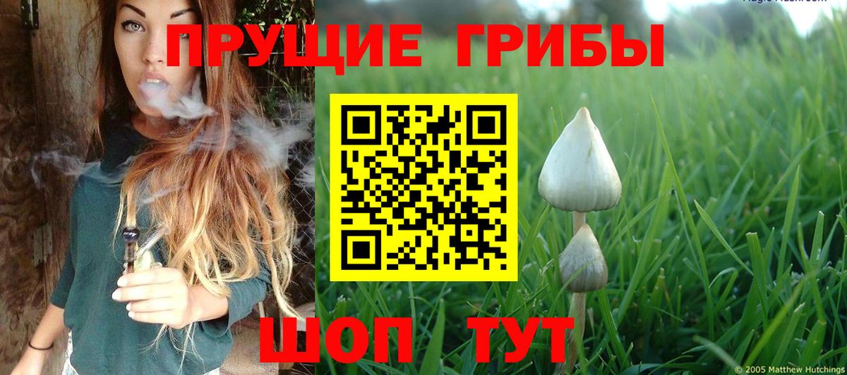 Галлюциногенные грибы ЛСД Арзамас