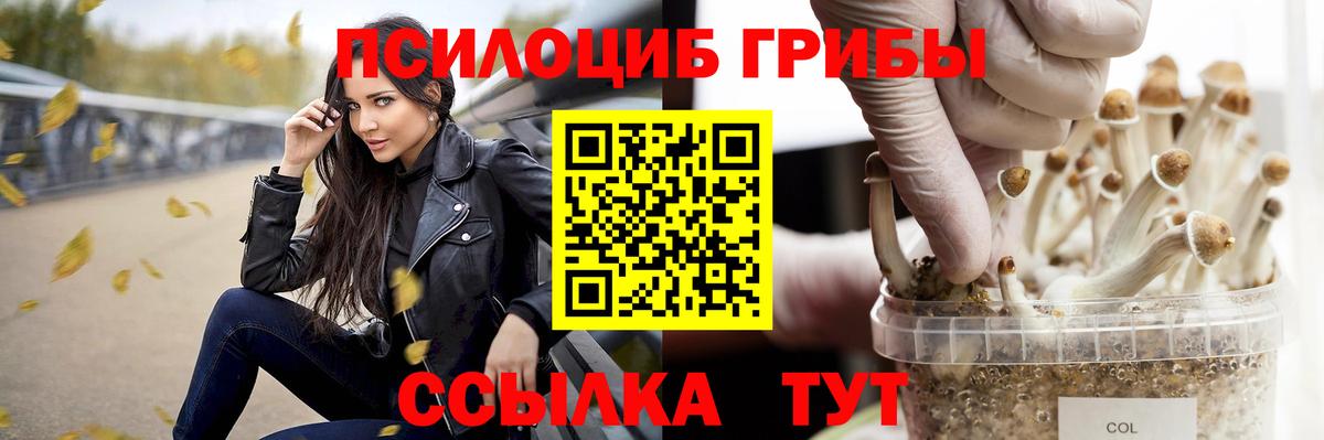 Псилоцибиновые грибы MAGIC MUSHROOMS  Псилоцибиновые грибы мухоморы  Арзамас  Вход с VPN 